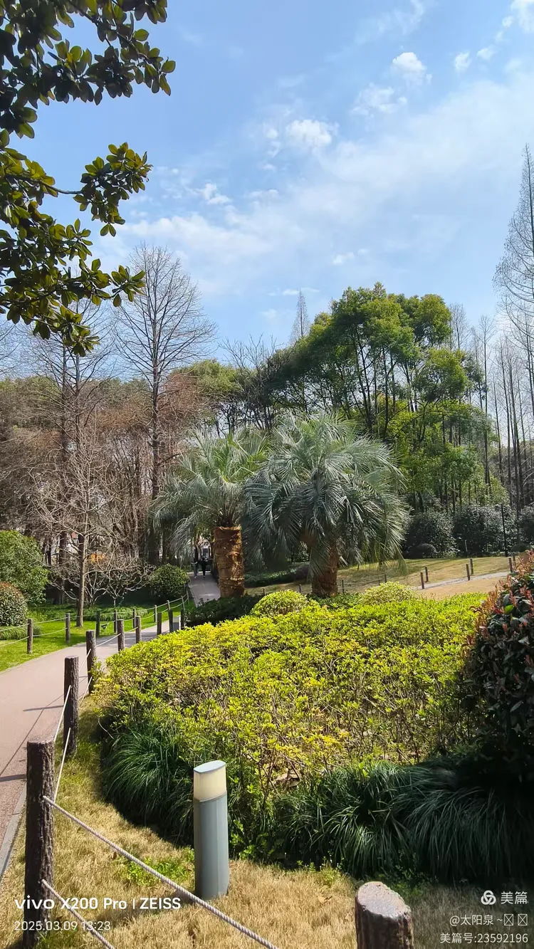 散步寻觅新线路:五原路→→华山绿地4000步x2